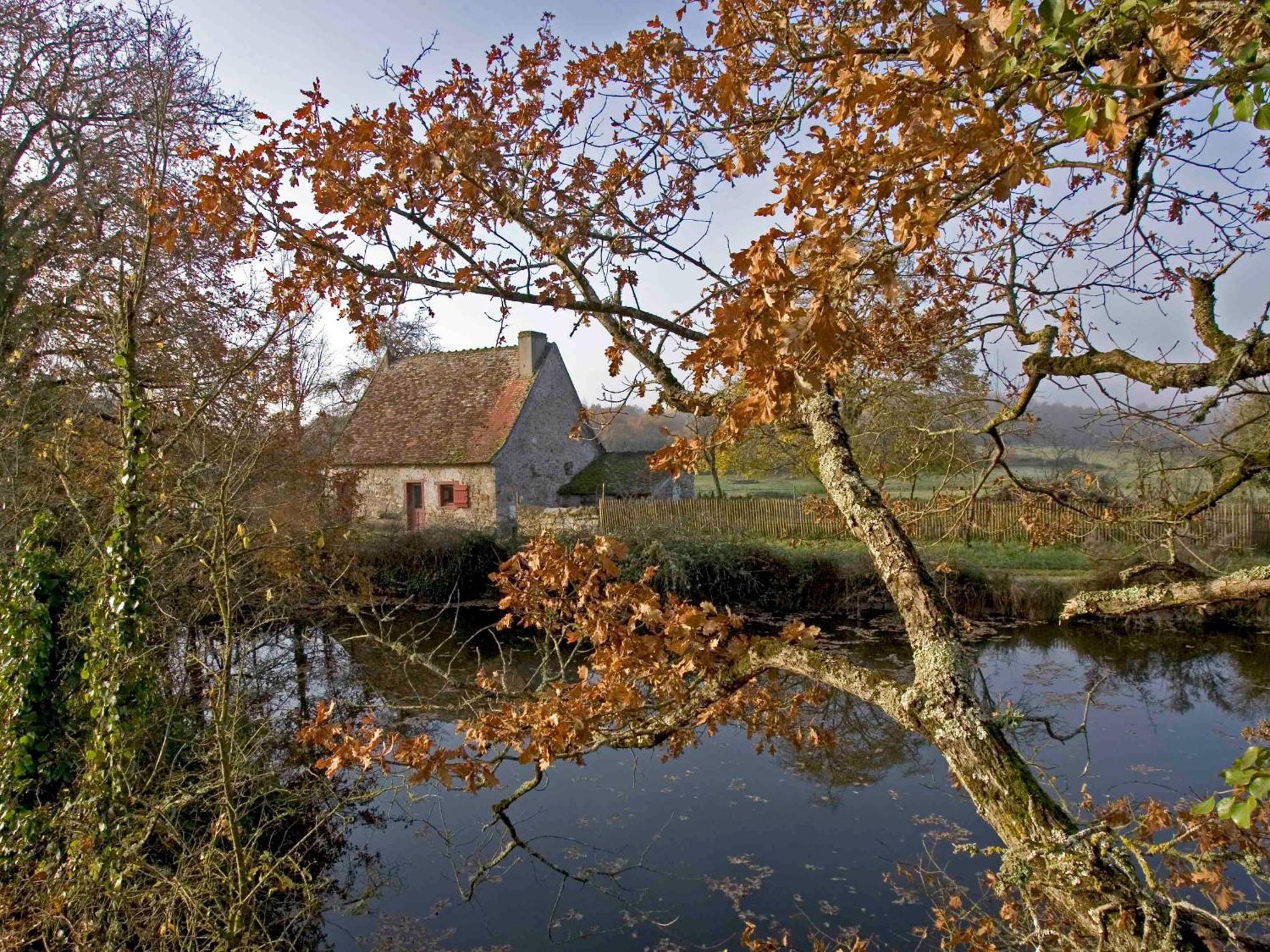 Sejour Nature Au Coeur Du Parc De La Brenne: Gite 4 Chambres, Jardin Et Terrasse, Proche De Rosnay - Fr-1-591-141 Eksteriør bilde